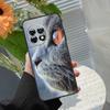 Чехол для телефона OnePlus с изображением британской короткошерстной кошки для моделей 15R 15 13R 12R 10R 13 13T 12 11 10 10T 8T Nord CE 5 2 3 4 Lite N20 N30