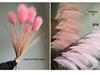 Non-Shedding Reed Grass Flower Display for Indoor Decor and Store Window