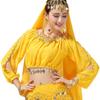 For Thailand/India/Arab Tassel Sequin Show Costumes Belly Dance Top Dance Wear Performance Top