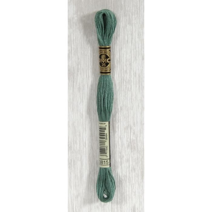 DMC Fil Mouliné 3815