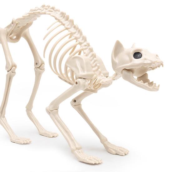 Хэллоуин Скелет Кошки Украшение Ужас Пластиковый Котенок Скелет Кость Украшение с Подвижной Челюстью Шея Хвост для Вечеринки на Хэллоуин Домашний Двор Декор