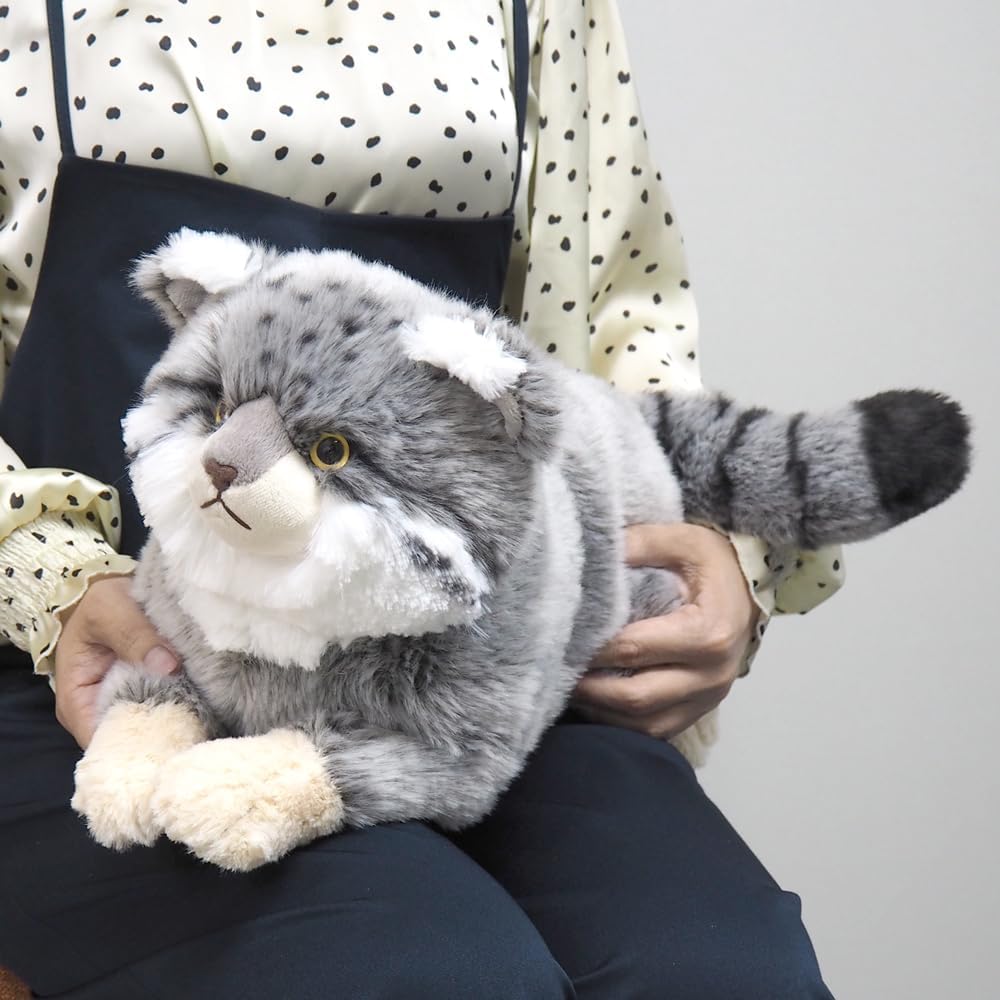 SunLemon Pallas's Cat, Small, 19 x 41 x 16 cm, Plush Toy, Cute Animal, Cat, P-8422
