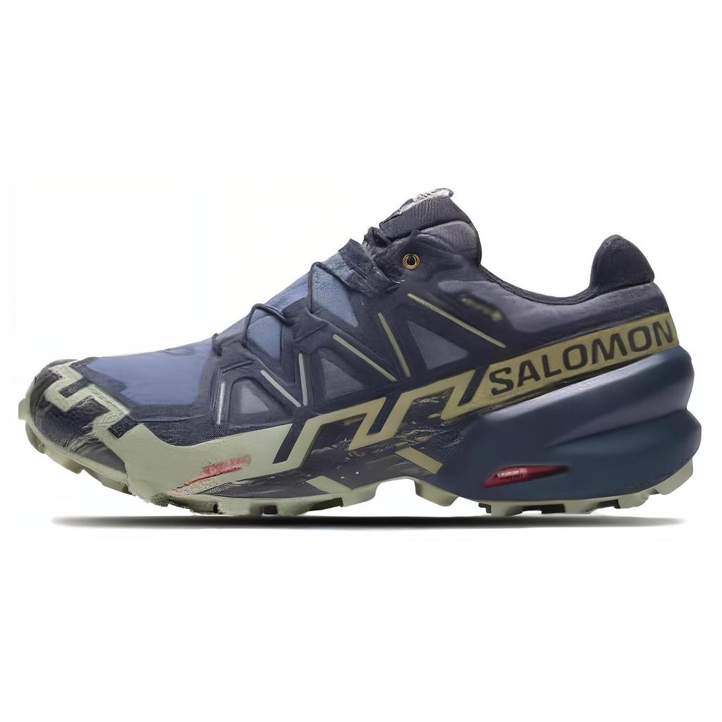 SALOMON Кроссовки унисекс Speedcross 6 GORE-TEX Grisaille Tea Blue Carbon L47465500