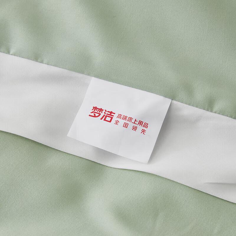 Mengjie Home Tussah Silk All-Season Washable Quilt