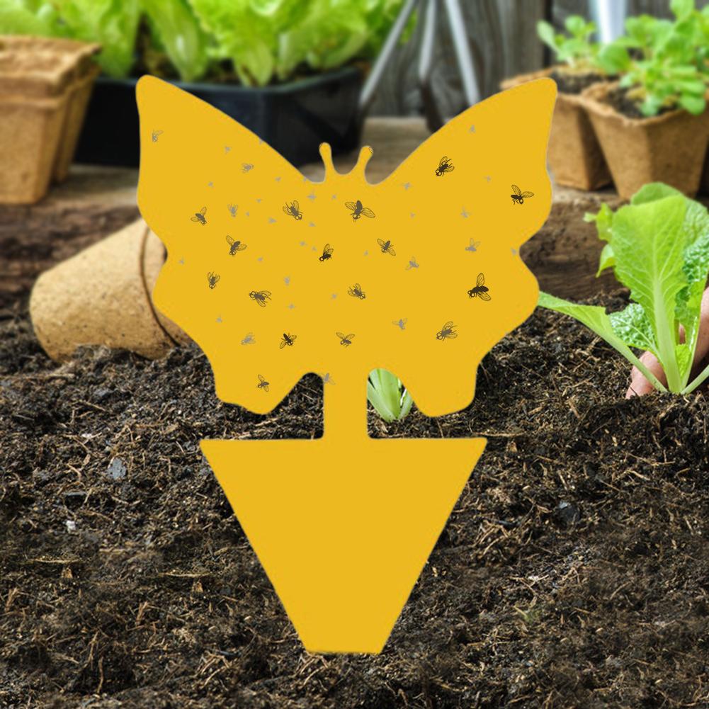 Ловушки для насекомых Защищают растение Двусторонние ловушки для мошек Нетоксичные и без запаха Липкие доски Ловушки для садовых растений Кухни