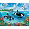 Painting By Numbers Dolphin Picture On Numbers Acrylic Paints Handmade For Diy Gift Home Decors