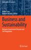 The Business and Sustainability : Between Government Pressure and Self-Regulation Book