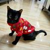 Adorable Printed Sphynx Cat Costume Clothes Winter Warm Pet Hoodie Sweater designed for Cats Gentle Fleece Puppy Kedi mascotas gotas Clothing