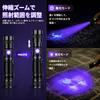 DARKBEAM UV 395nm Flashlight Blacklight Rechargeable USB Wood Lamp Handheld Ultraviolet Blacklight LED Portable with Clip for Pet Resin Fluorescence