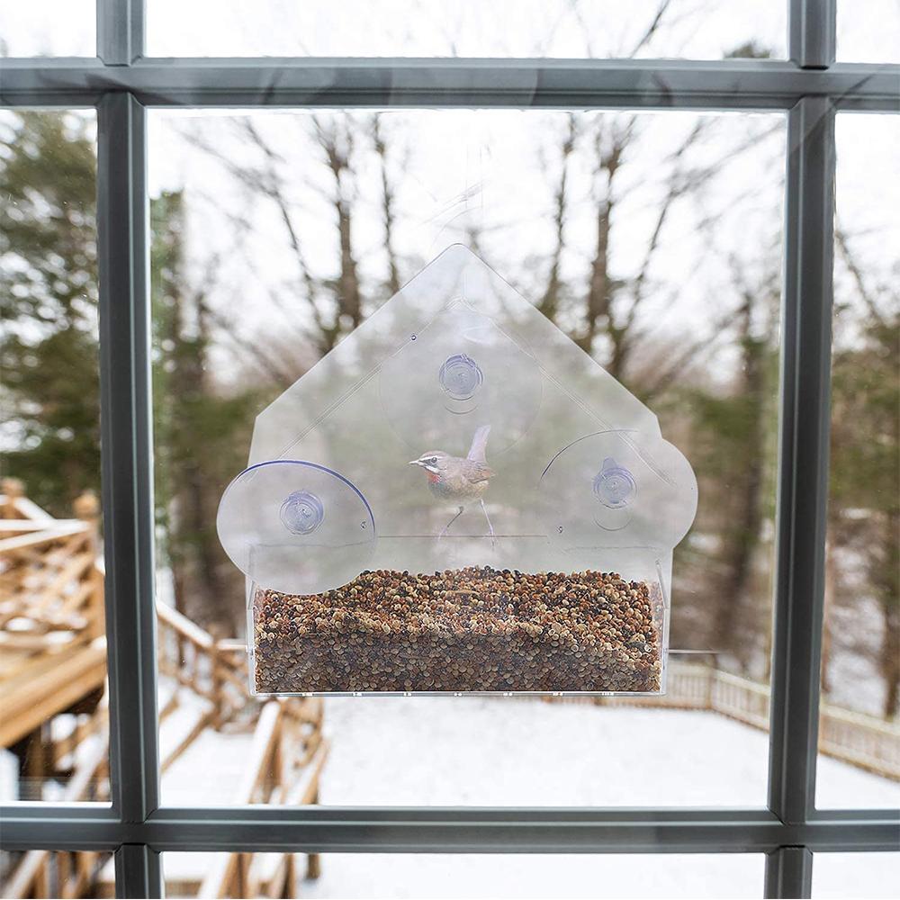 Кормушки для птиц на окно своими руками, тип с сильной присоской, прозрачное устройство для кормления птиц