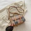 This Year's Popular Fashion Korean Version of the Versatile Ins Plaid Handbag 2025 Summer New Niche Design Small Square Bag