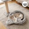 DIY Кошачье дерево Запасная корзина Подвесная гамак-лежанка для кошки Плюшевая качеля Лежанка Гнездо Крепление Гамак для питомца Жердочка для котенка Коврик для лазания