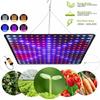 Led plant growth light flower greenhouses, fleshy tent light 1000 w plant fill light