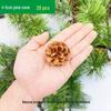 Natural Pine Cone and Dried Flowers Craft Kit for DIY Decor and Kindergarten Projects