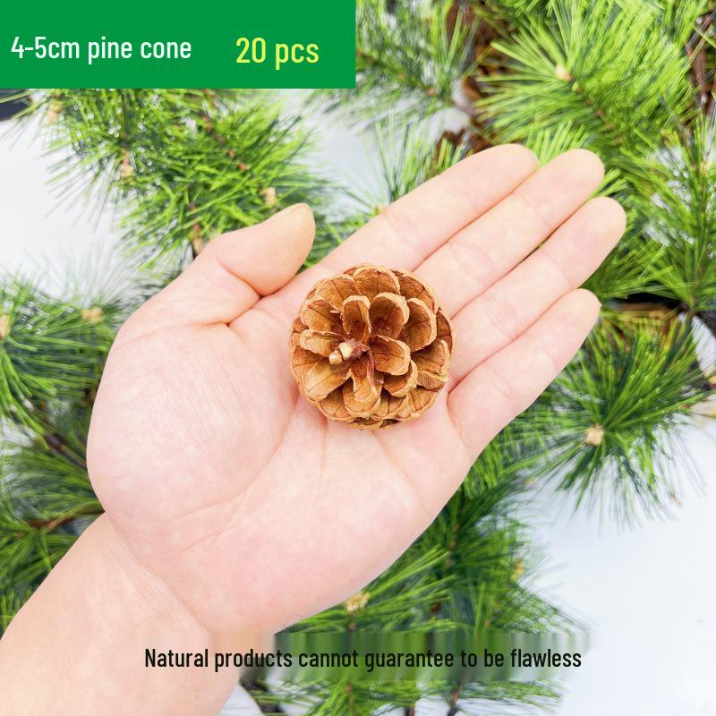 Natural Pine Cone and Dried Flowers Craft Kit for DIY Decor and Kindergarten Projects