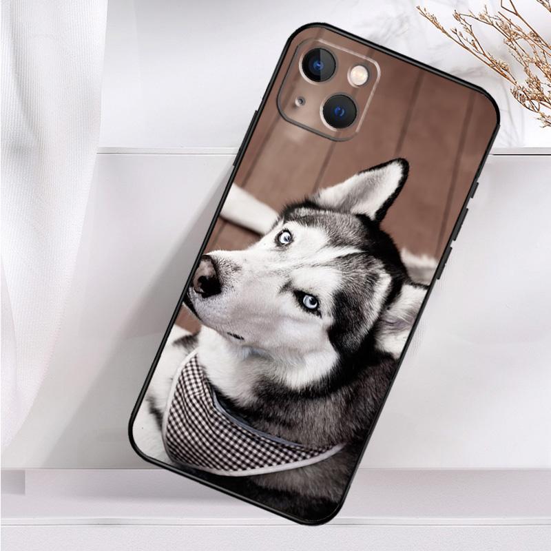 Animal Husky Puppy Case For iPhone 14 13 12 11 16 15 Pro Max Mini Cover X XR XS 8 7 14 16 15 Plus Accessories