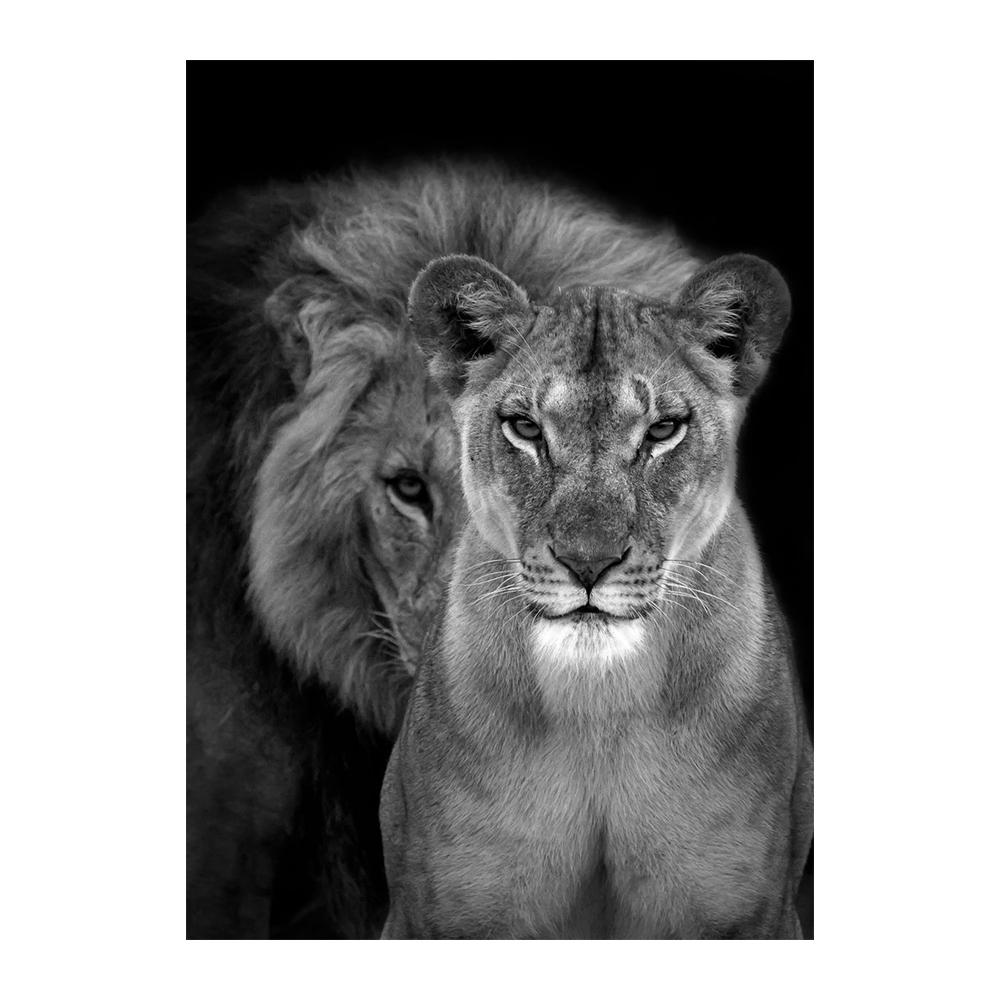 Африканский лев в темноте, настенные постеры и принты, животные, холст, картины, натюрморт, декор для дома
