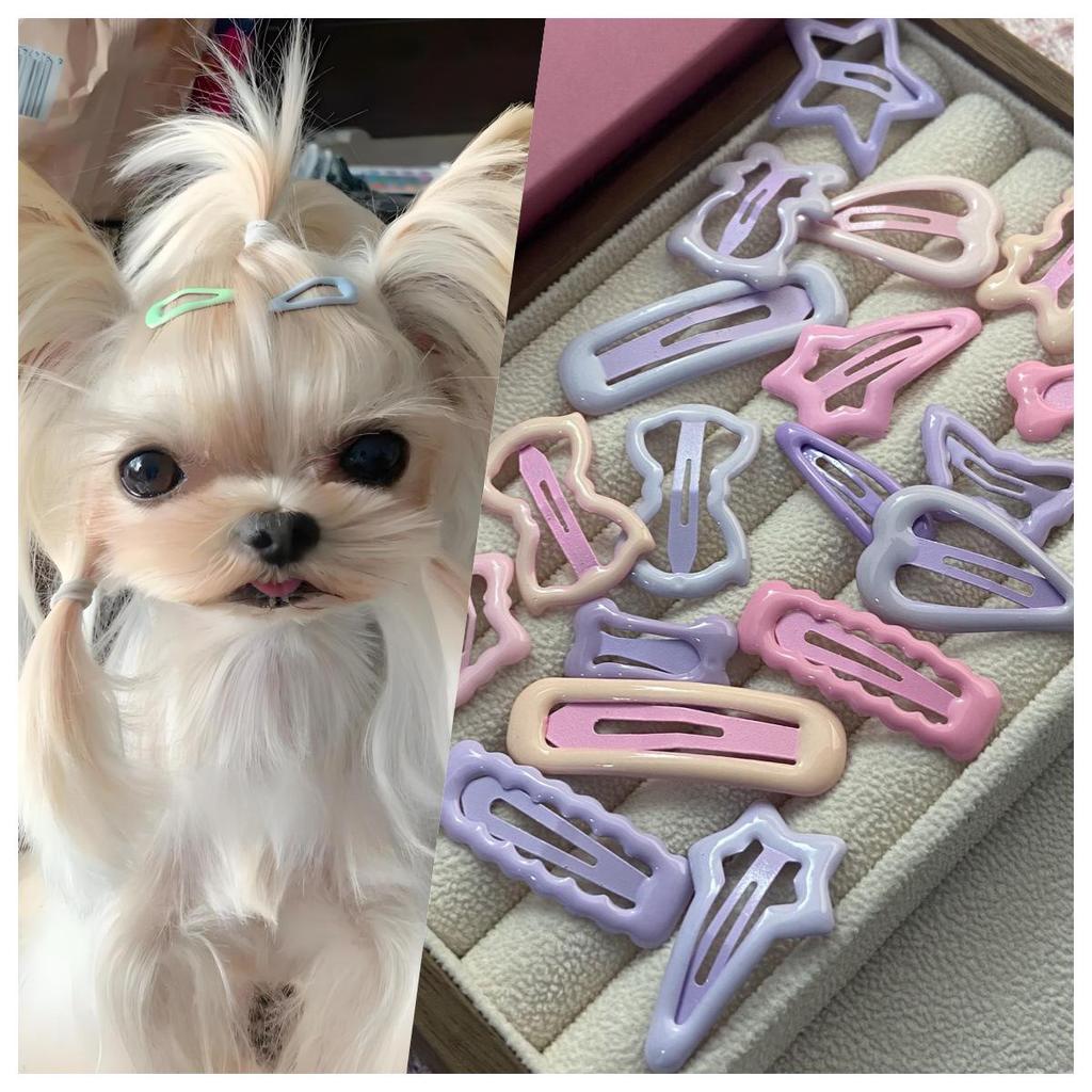 Pet Hair Clip Small BB Hairpin for Dog Stray Hair & Bangs