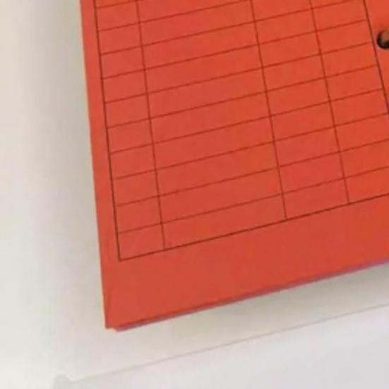 1 Set 12 Colors Budget Envelope Binder, Cash Organizer Envelopes for Budgeting, A6 6-Ring Money Planner Envelope Binder for Cash Saving