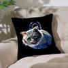 Anime Ccheshire Cat Customizable Square Pillowcases Stylish And Soft Perfect For Beds Cars And Sofas