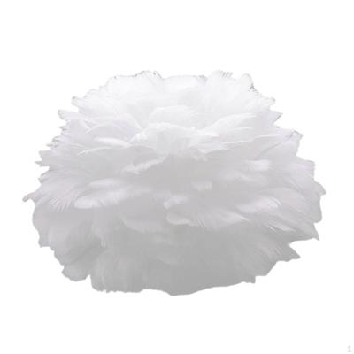 Подвесной светильник Feather для изысканного домашнего декора