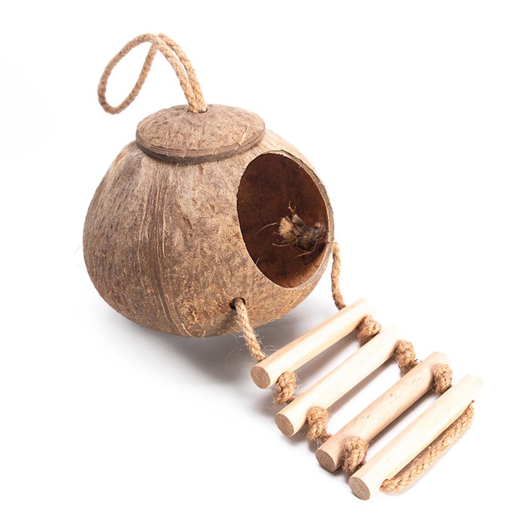 Домик для хомяка Лестница для восхождения Кокосовые убежища Гнездо Место обитания Декорации для Мини Песчанок Золотые Медведи Морские Свинки Маленький питомец