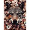 5D DIY Diamond Painting Kit Paint Flower Animal Fox Wolf Cat Tiger Full Round Embroidery Mosaic Cross Stitch Home Decor