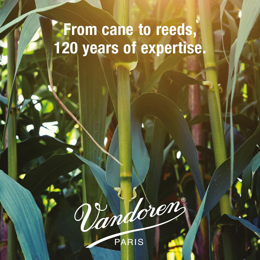 Vandoren Alto Saxophone Reed 3 V.12 Hardness (10 Pieces)