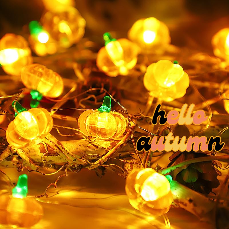 Halloween Lights 3D Pumpkin String Lights 10ft 30 LEDs Battery Powered with Remote Timer Function for Thanksgiving Christmas Holiday Indoor Outdoor