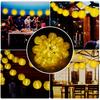 5Meters/16.4Ft 20 LEDs Solar Powered Energy Fairy String Lantern Light Lawn Lamp with Constant