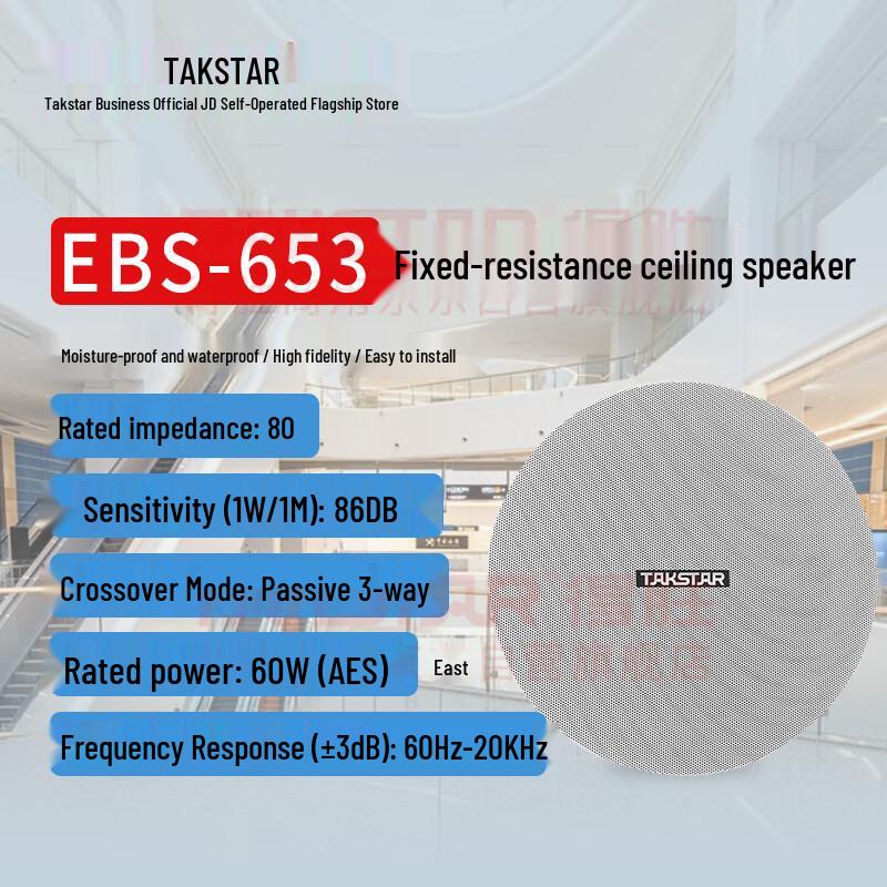 TAKSTAR EBS-653 Recessed Ceiling Speaker