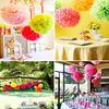 9Pcs Xmas Halloween Handmade Bunting Tissue Paper Flower Wedding Party Decor