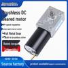 12V/24V Brushless DC Worm Gear Motor, 5840-3650, High Torque, Speed Control