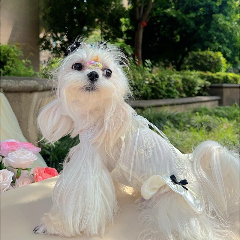 Pet Summer Mesh Strap Yorkshire Small Dog Lace Pet Cool Thin Dress Dog Dresses for Small Dogs Puppy Clothes