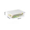 Transparent Refrigerator Storage Box, Vegetable Preparation, Frozen Meat Packing Box, Food Grade Fruit and Vegetable Preservation, Frozen Sealed Box