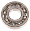 Cedrus Blower Crankshaft Bearing Dm02