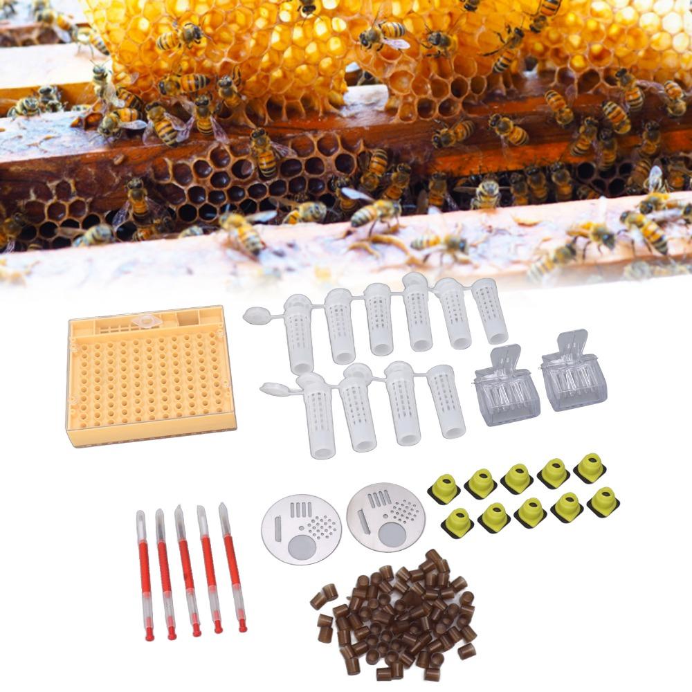 130 Pcs Set Plastic Plastic Queen Rearing System Beekeeping Queen Rearing Box Raising Queen Bees