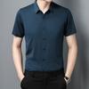 Summer New Seamless Taped Shirt Men's Short-sleeved Fashion Stretch Solid Color Business Iron-free Men's Shirt