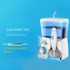 V300G European Standard 100-240V Oral Irrigator Household Electric Water Flossing Tooth Cleaner