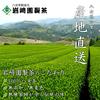 Yame Tea Iwasaki En Seicha Trial Set 6 Types Each 7g Individually Packaged Fukuoka Prefecture Sencha Deep Steamed Kukicha Leaves