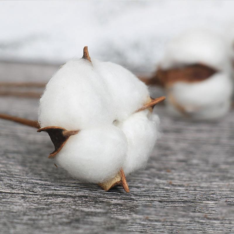 Искусственные сушеные цветы хлопка, ветка белого цветка для украшения свадебной вечеринки, искусственный цветок, домашний цветочный декор, листья эвкалипта 