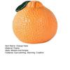 Orange Shaped Vase Small Design Hydroponics Vase Decorative Orange Fruit for Home Office