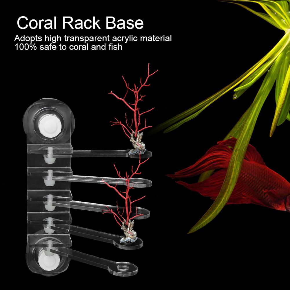 Acrylic Transparent Aquarium Five Claw Life Tree Shape Coral SPS Button 5 Hole Frag Rack Base Fish Accessories