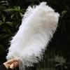 10PCS 45-50cm Colorful Big Feathers Ostrich Table Flower Table Flower Wedding Decoration Ostrich Feathers