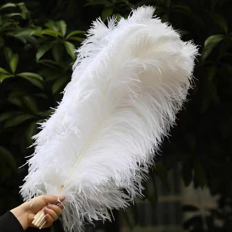 10PCS 45-50cm Colorful Big Feathers Ostrich Table Flower Table Flower Wedding Decoration Ostrich Feathers