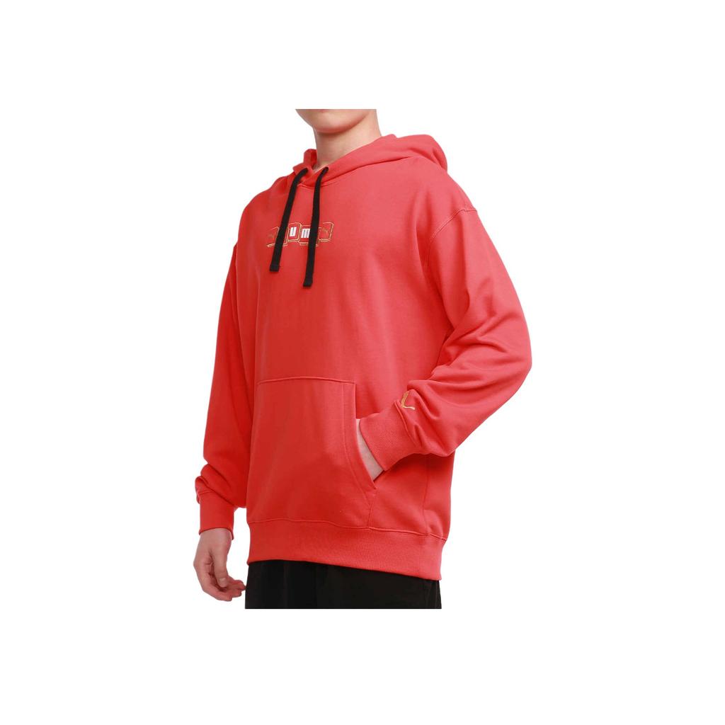 Puma Спортивный пуловер с капюшоном с принтом, мужские толстовки, красный цвет 531299-23