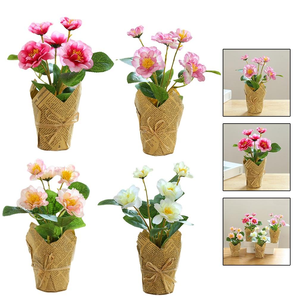 Красивый цветок розы, яркие цвета, изысканное мастерство