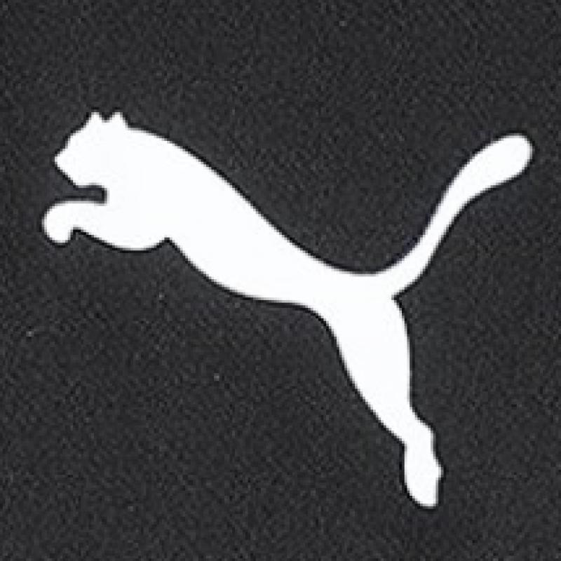 Puma Шорты 657336 03 Rise Training Short