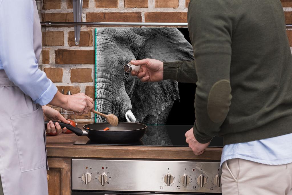 GLASS PROTECTIVE PLATE FOR STOVE 90x52 ELEPHANT