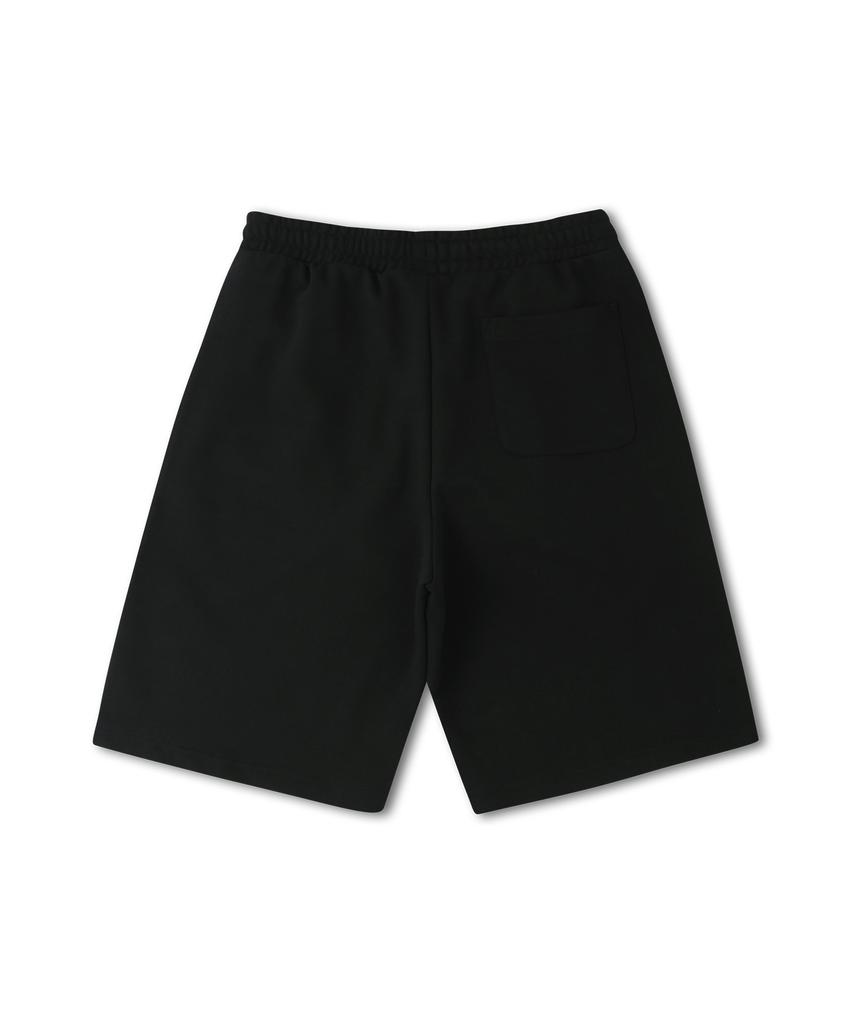 DOLPHIN WAVE APPAREL Dolphin Silicone Arch Logo Single-Pleat Shorts Black